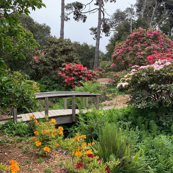 Meet your Posher, Nancy - Picture 2 of 7